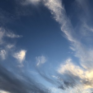 欧美肌肉警察gay网站
