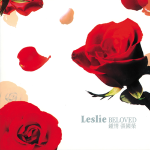 女兵裸体A级毛片视频
