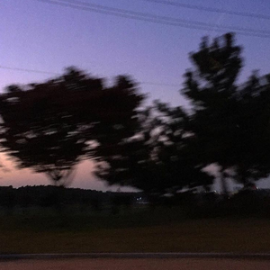 欧美肌肉警察gay网站
